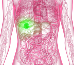 Treatment Decisions in Relapsed/Refractory HCC